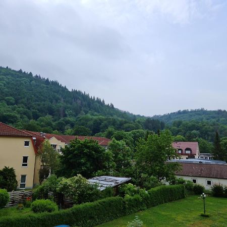 Pension Kreihe Im Harz Bad Lauterberg Eksteriør bilde